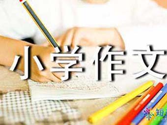 《父爱》小学600字叙事作文